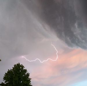 Meet your Posher, Lynn